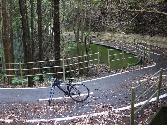 野母半島サイクリング道路をサイクリング キウイハズバンド