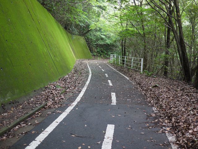 野母半島サイクリング道路をサイクリング キウイハズバンド